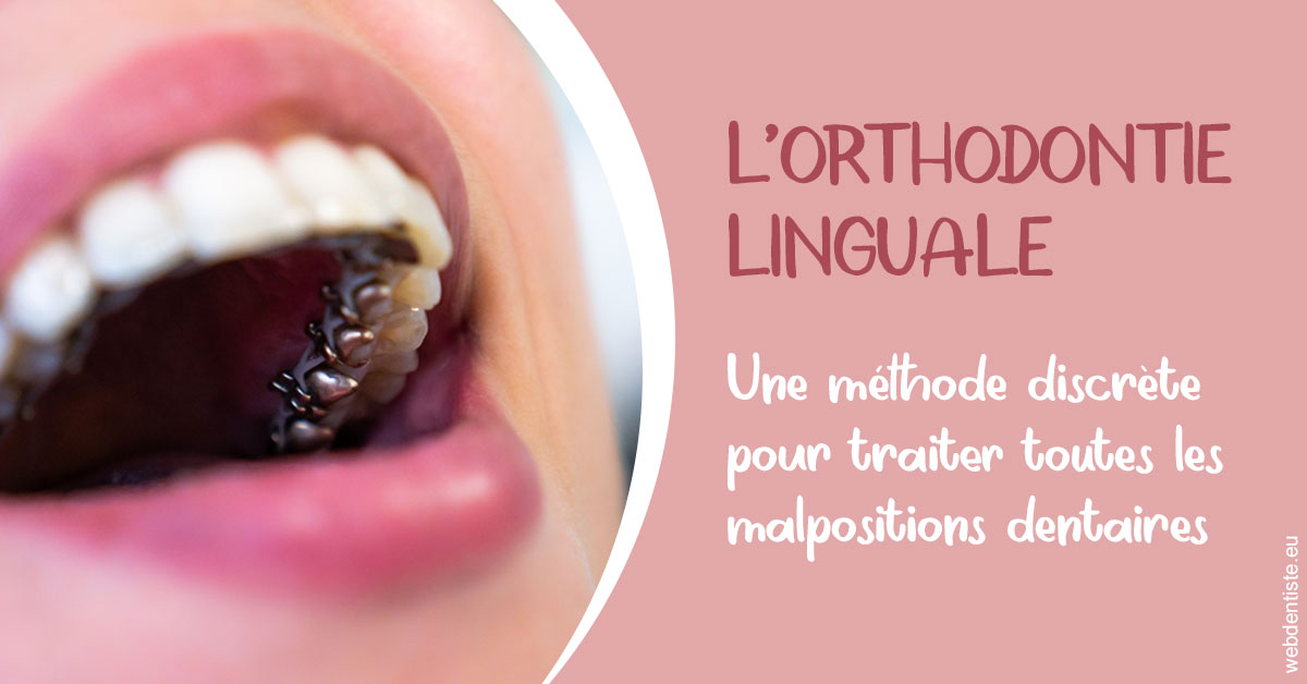 https://dr-patrick-missika.chirurgiens-dentistes.fr/L'orthodontie linguale 2