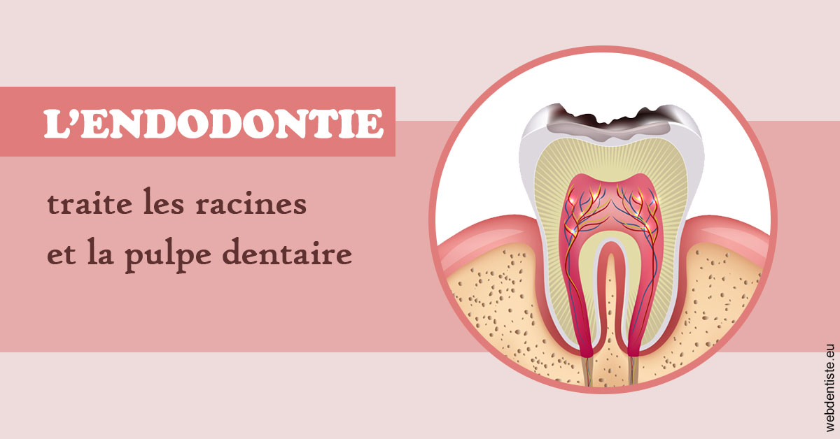 https://dr-patrick-missika.chirurgiens-dentistes.fr/L'endodontie 2