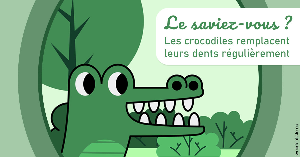 https://dr-patrick-missika.chirurgiens-dentistes.fr/Crocodiles 2